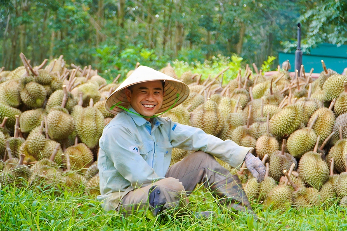 TS Lê Trọng Lư rơơm kiêng tr'xăl loom pr'chăp âng zâp ngai ooy bh'rợ đong khoa học lươt bhrợ ha rêê ha lai.