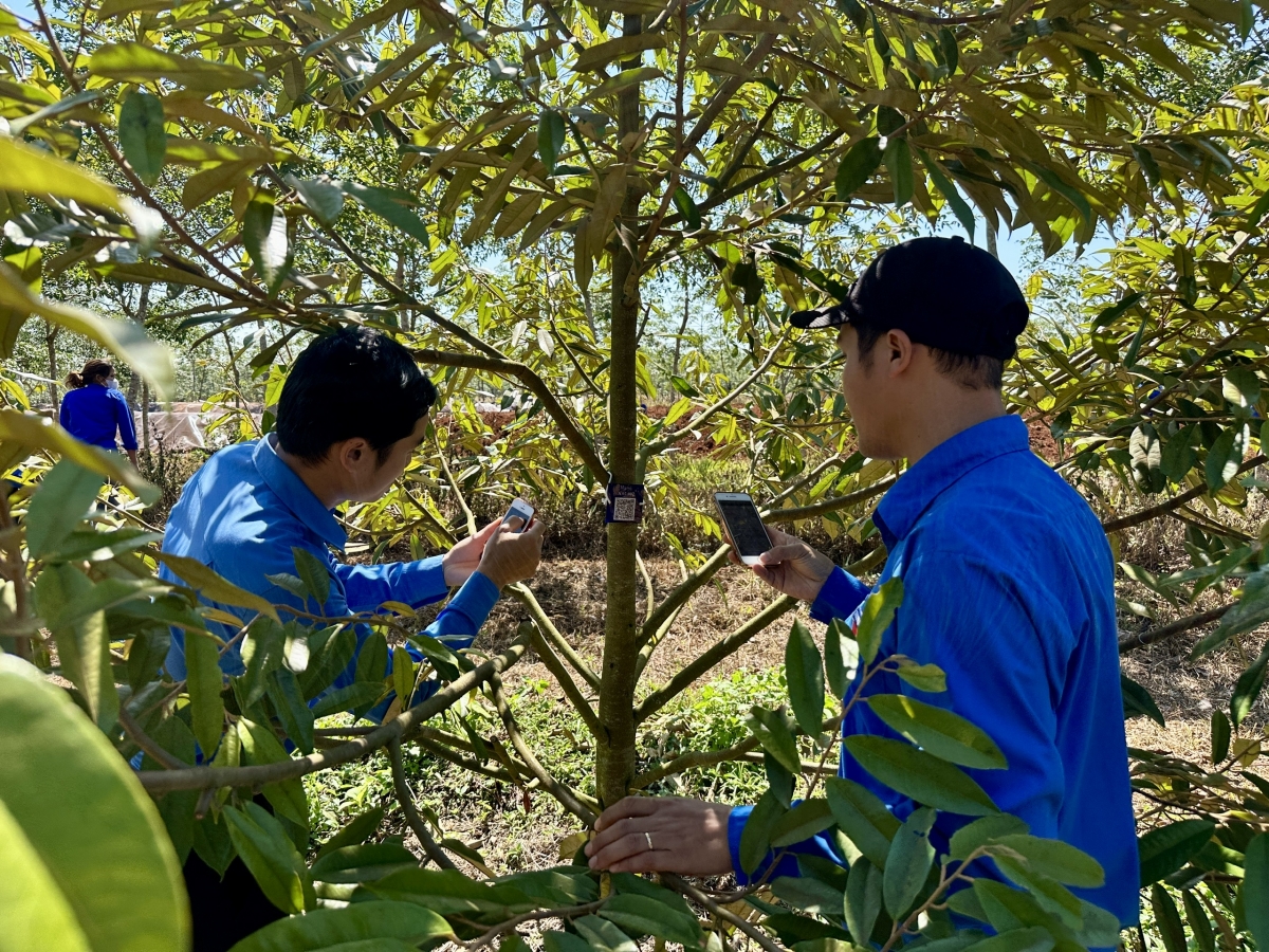 Ăp đoàn viên xă Chư Kpô, nkuăl Krông Buk, n’gor Dak Lak ƀư ntăm mã QR n’hanh uănh joi nu nău ta ứng dụng bandocayxanh.vn
 