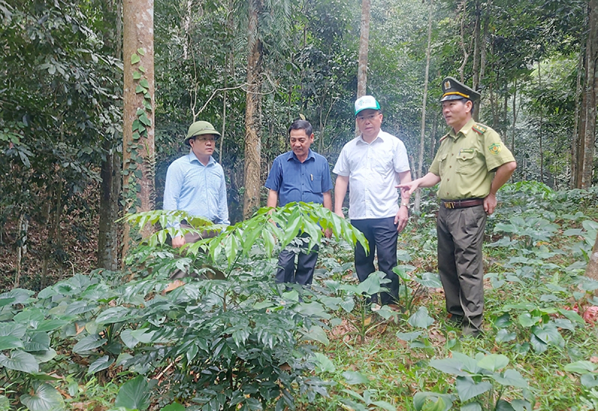 Apêê đại biểu pấh lêy bh'rợ chóh crâng đhị Tuyên Hoá, Quảng Bình.