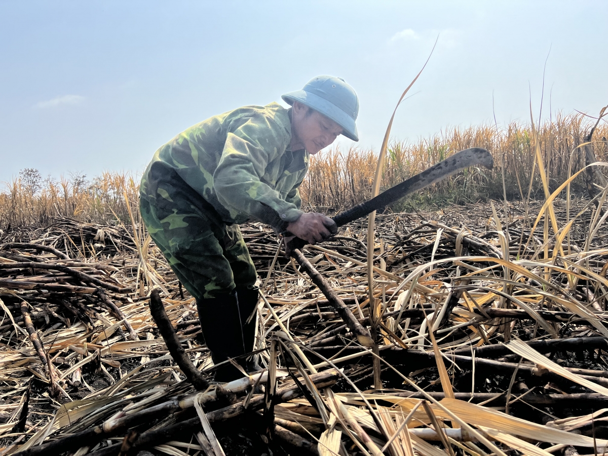 Làng bol lơh broă sa mhar sreh tơnhào tào gơtìp ồs sa gam gơlời