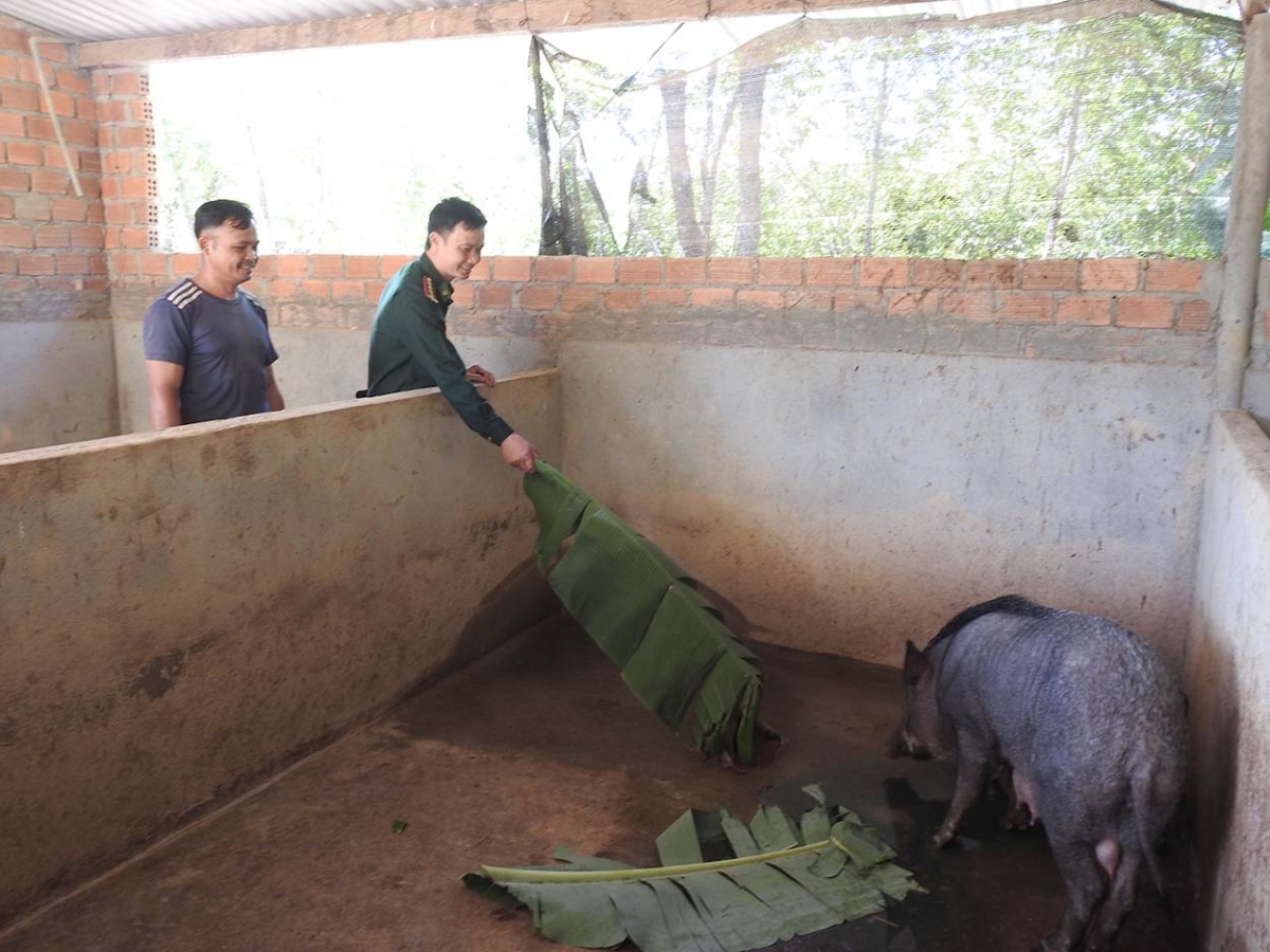 Khua mua tơhan pơgang guai Dục Nông pơtô brơi neh met wa rông bui jŭ