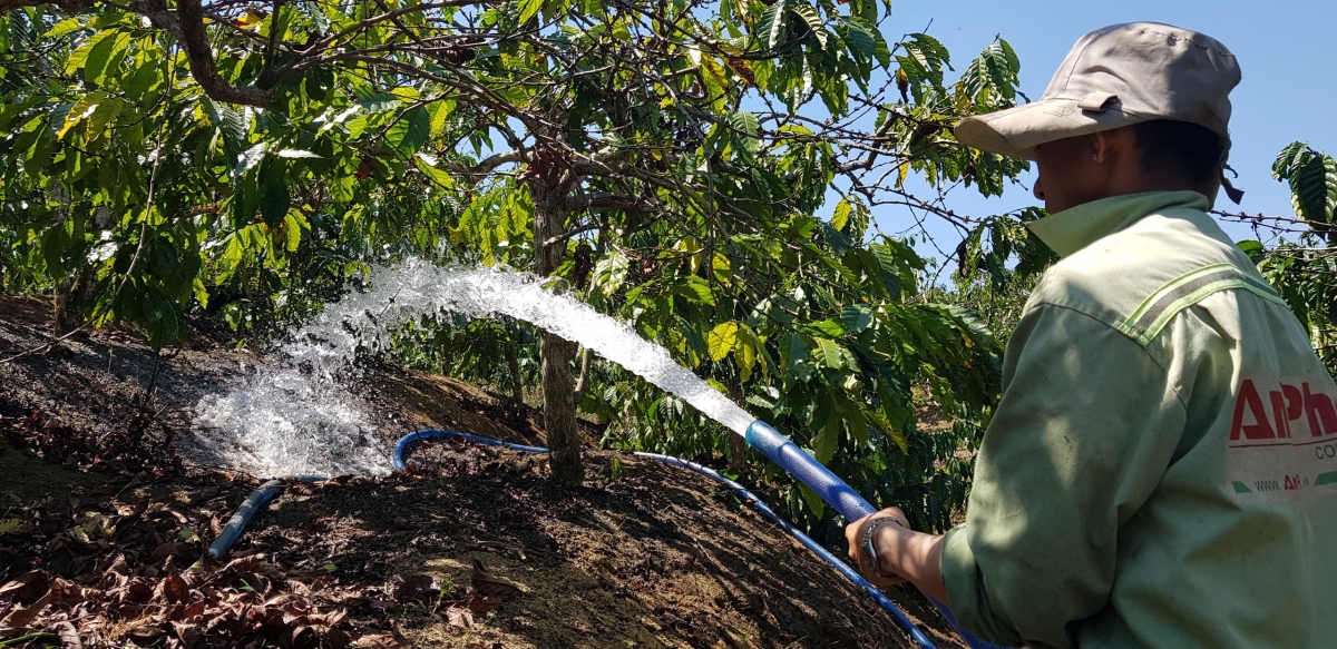 

Hên kơpong pêt kơphế hbrâ têa tôh