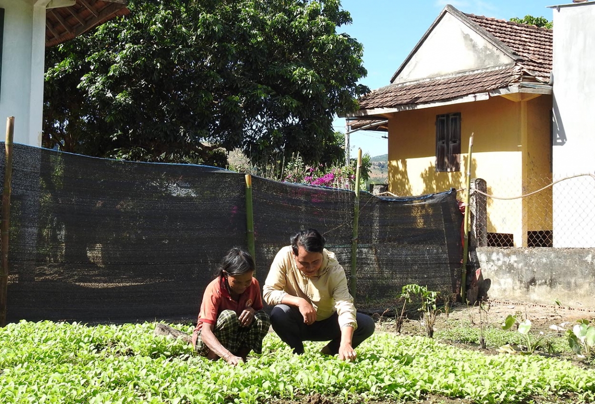 Kăn hnê ngăn chi [o# Chư A Thoải hnê kuăn pơlê pêt kơchâi