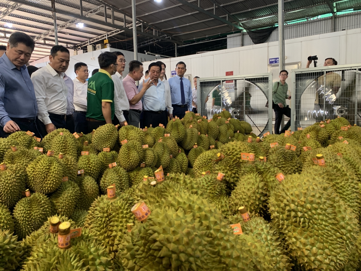 Dak Nông tối krê, kơpong Tây Nguyên tối tơdjuôm cho kơpong pêt tơmeăm pêi lo ing chiâk deăng kân kum ăm tơdroăng ki vâ tê tơmeăm ngi kong têa ê ƀă uâ pơliê, mơdiê la xuân ối cho kơpong thông ‘na mơnhông cheăng kâ