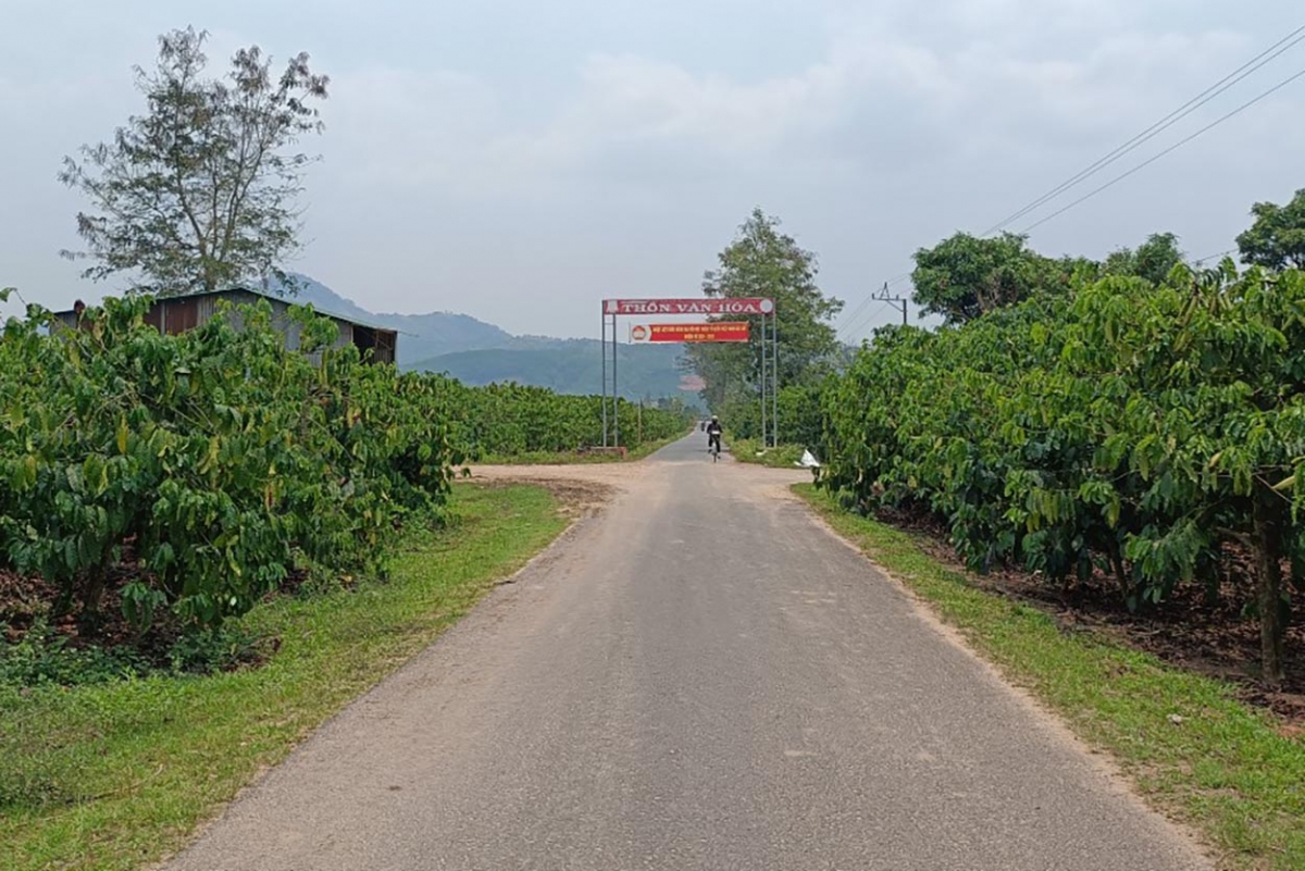 Troăng pơlê a kơpong kuăn ngo mâu tơring Đăk Hà