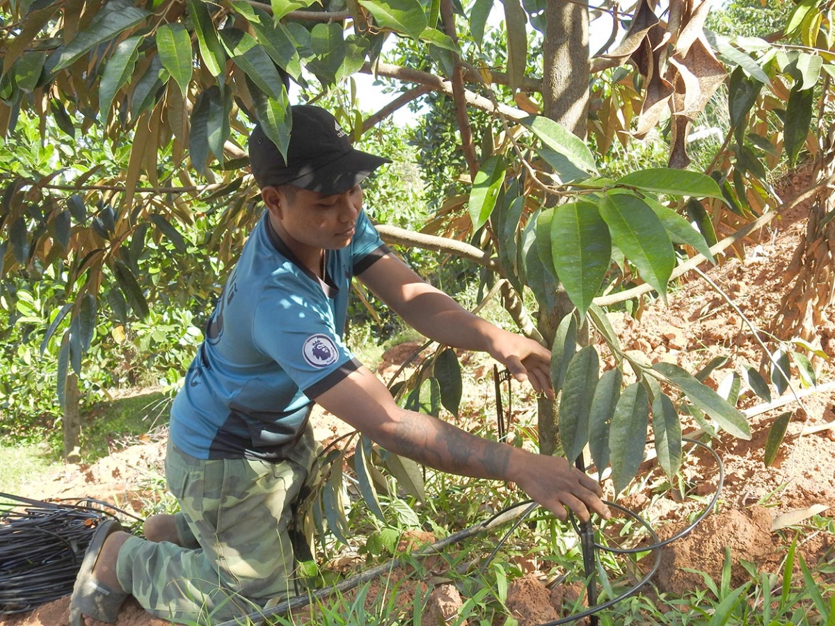 Hlăk ai djuai ania Sedang (Hơdang) rơnăk pơhiam đang boh troh