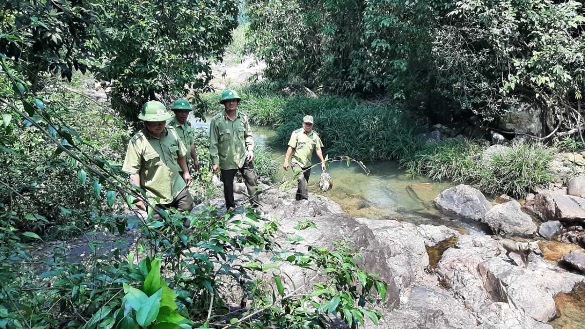 Lực lượng kiểm lâm Hạt kiểm lâm An Nhơn tuần tra bảo vệ rừng.