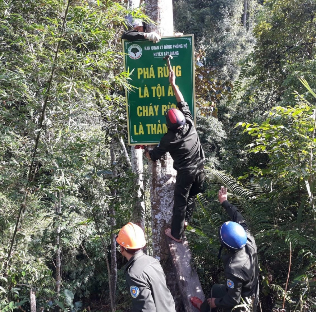 Cán bộ BQL rừng phòng hộ Tây Giang và người dân gắn bản tuyên truyền công tác bảo vệ rừng ở khu vực giáp ranh giữa rừng tự nhiên và nương rẫy người dân. Ảnh: T.Q