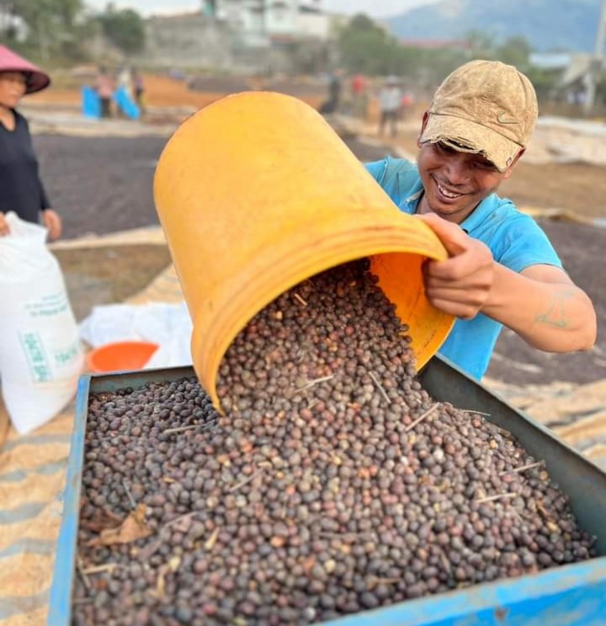 Cau tam kơphe chờ hờp tài kơphe geh tơnhào mờ tăc geh giă