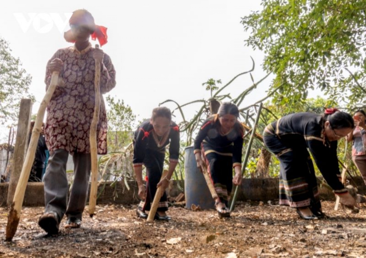 Nghi thức trồng tỉa, gieo hạt