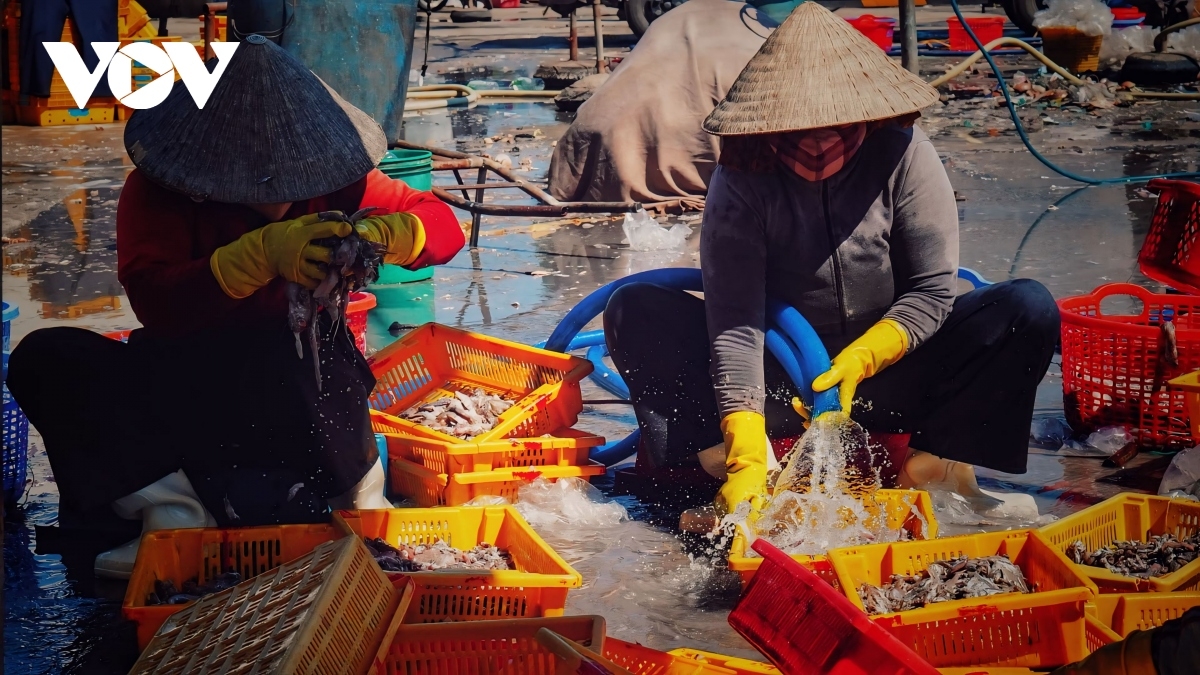 Phụ nữ làng cá Sa Huỳnh