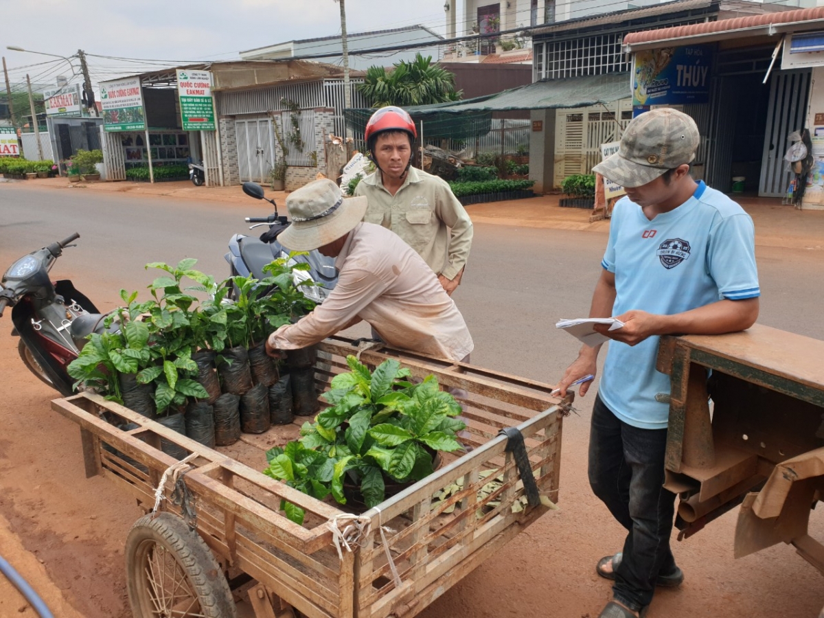 Ngoh Nguyễn Quang Thao (môk khêi) tơ-uâ lăm rôe hdrê kơphế