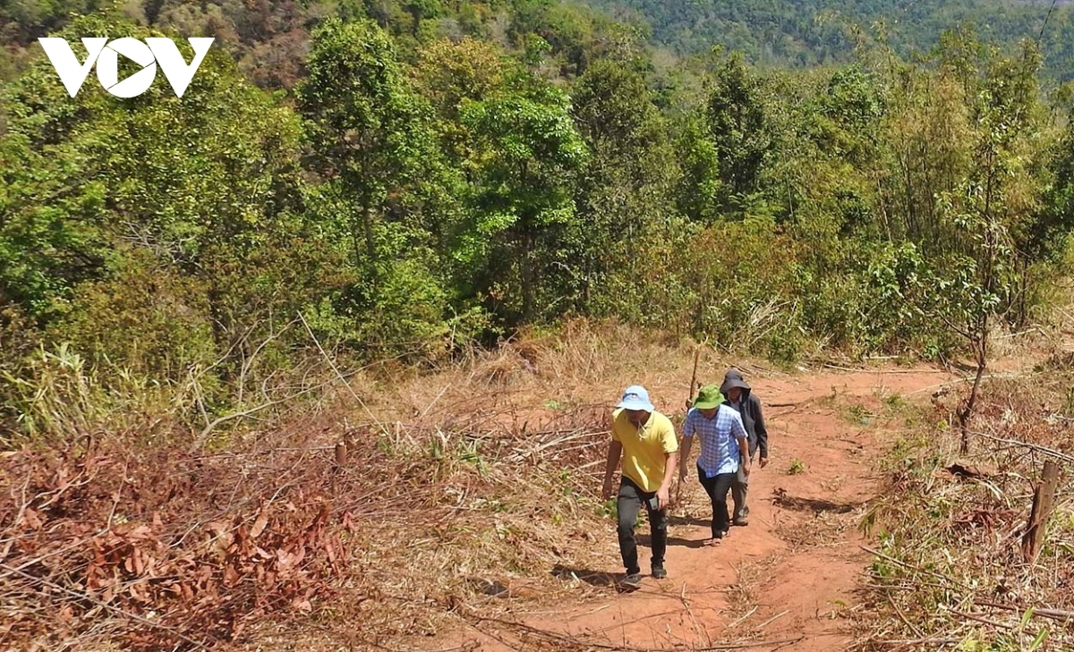 Kon Tum tăng cường lực lượng, phương tiện phòng chống cháy rừng.