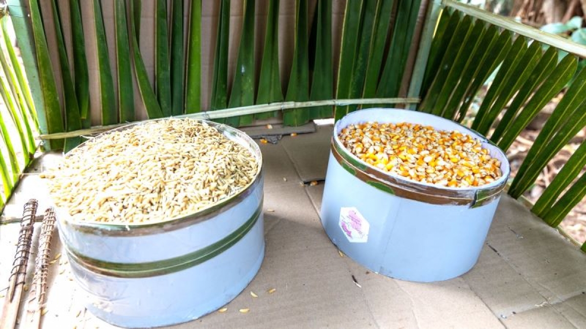 Nông sản được để trong chòi cúng