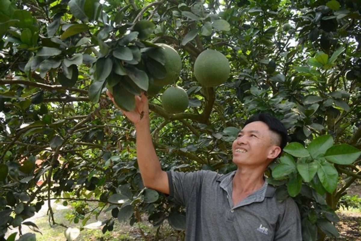 Bein kruac bung kalik hijao di Binh Duong