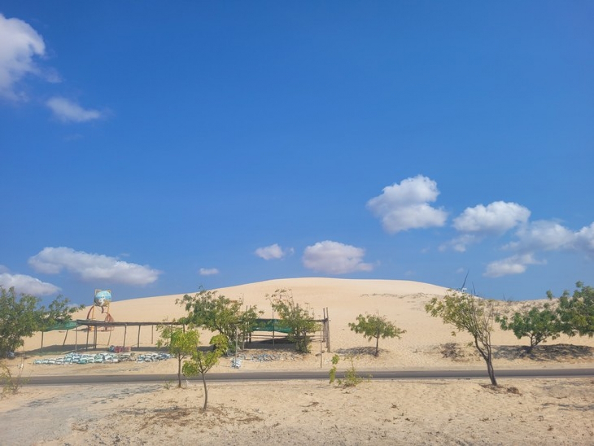Du khách quốc tế nói rằng đặc sản của Mũi Né là 4 chữ S: Cát (Sand), Nắng (Sun), Biển (Sea) và tâm hồn người dân làng chài (Soul).