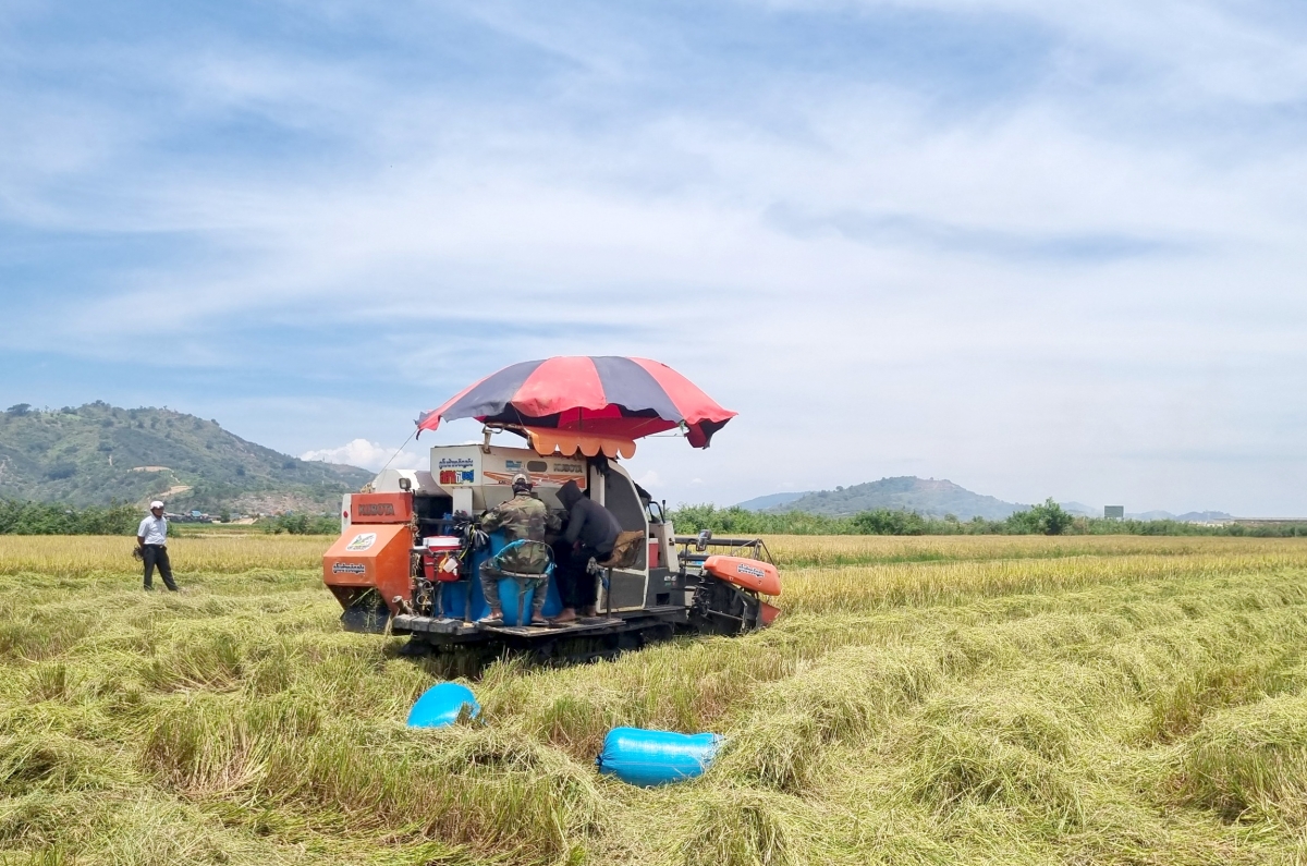 Mơnuih ngă hmua pơdai Dak Lak glăk yuă prah pơdai phang.