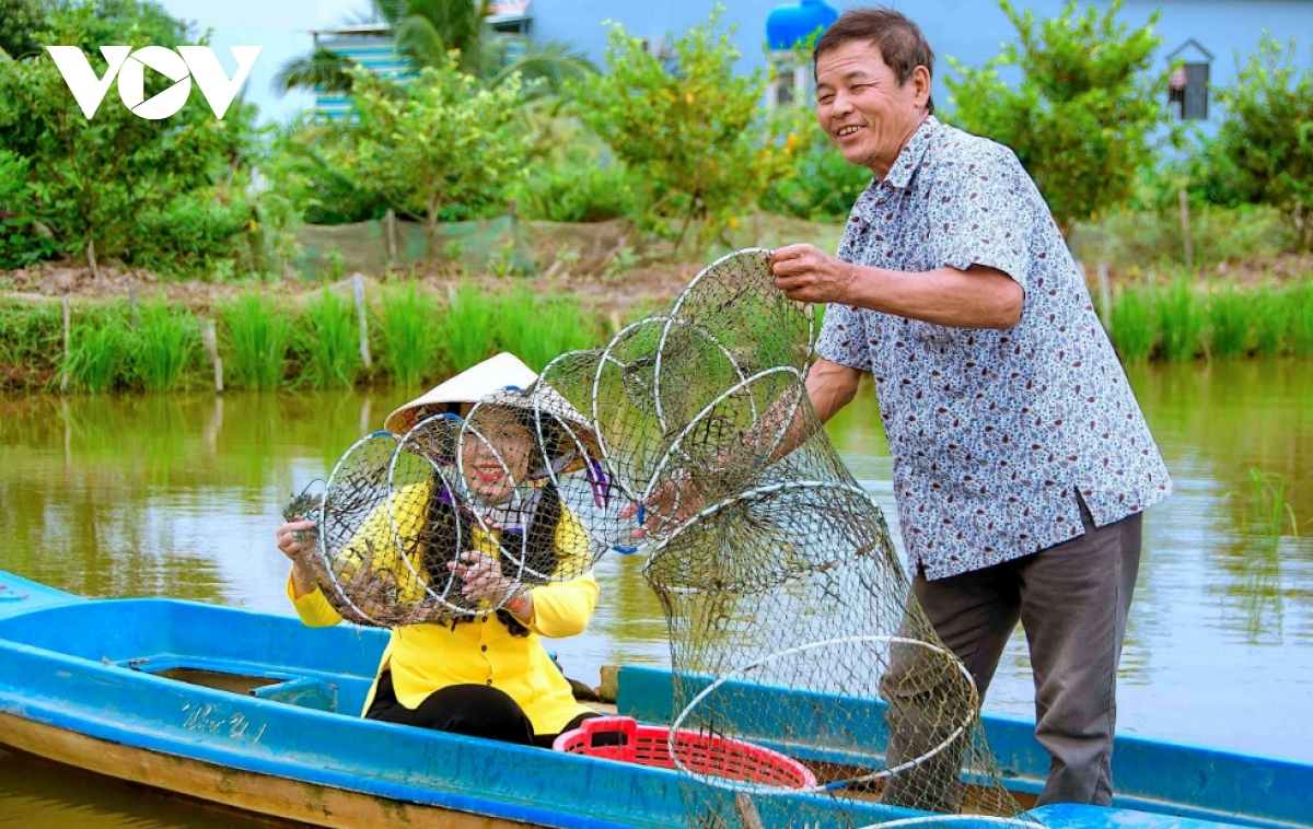 Mô hình nuôi tôm sinh thái dưới tán rừng giúp tạo ra sản phẩm tôm sạch có giá trị cao