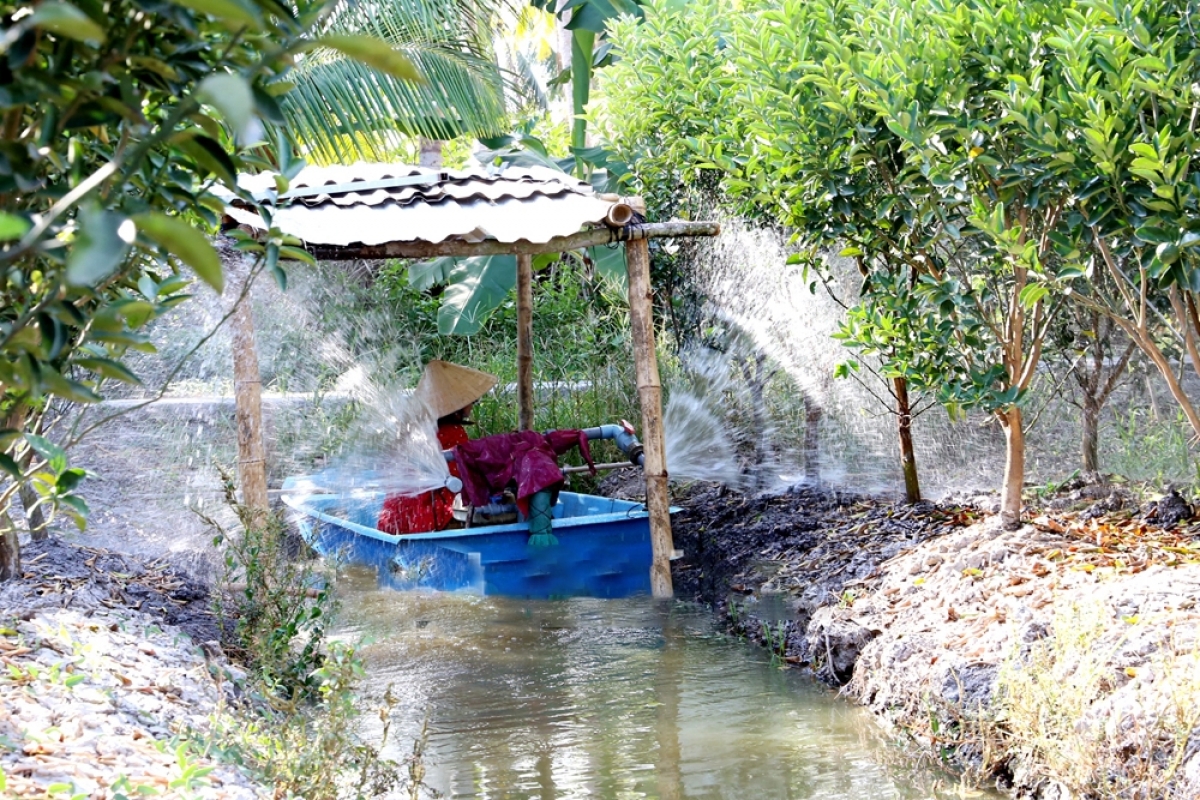 Di dalam ngak nông di tỉnh Trà Vinh, di taong abih bruk ngak jeng ieik tame bruk ngak tui salih so