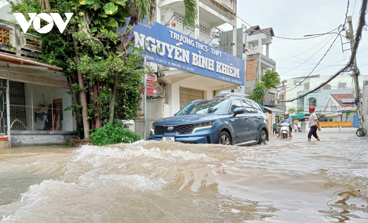 Ia dauk Ban Cần Thơ