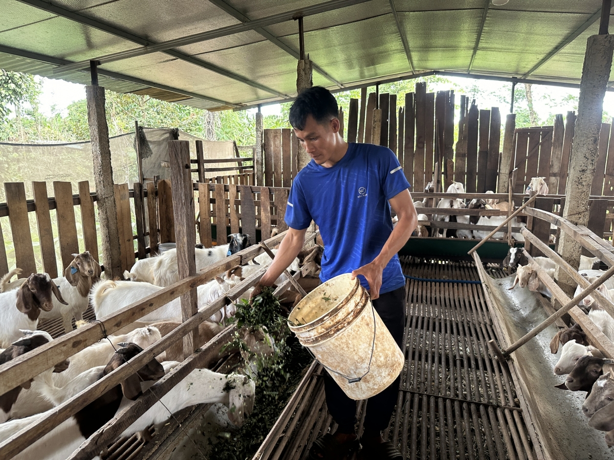 Mâu ngế tung Khu pêi cheăng tơrŭm pêi châk deăng tê mơdró cheăm Ea H’Đing ƀă túa păn pú pái kroăng tung kơdroăng