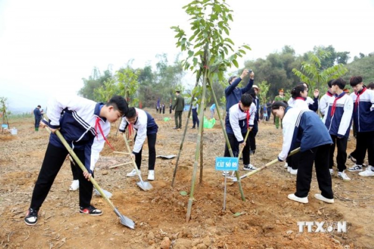 Học sinh tỉnh Tuyên Quang hưởng ứng Đề án trồng một tỷ cây xanh. Ảnh: Quang Cường – TTXVN