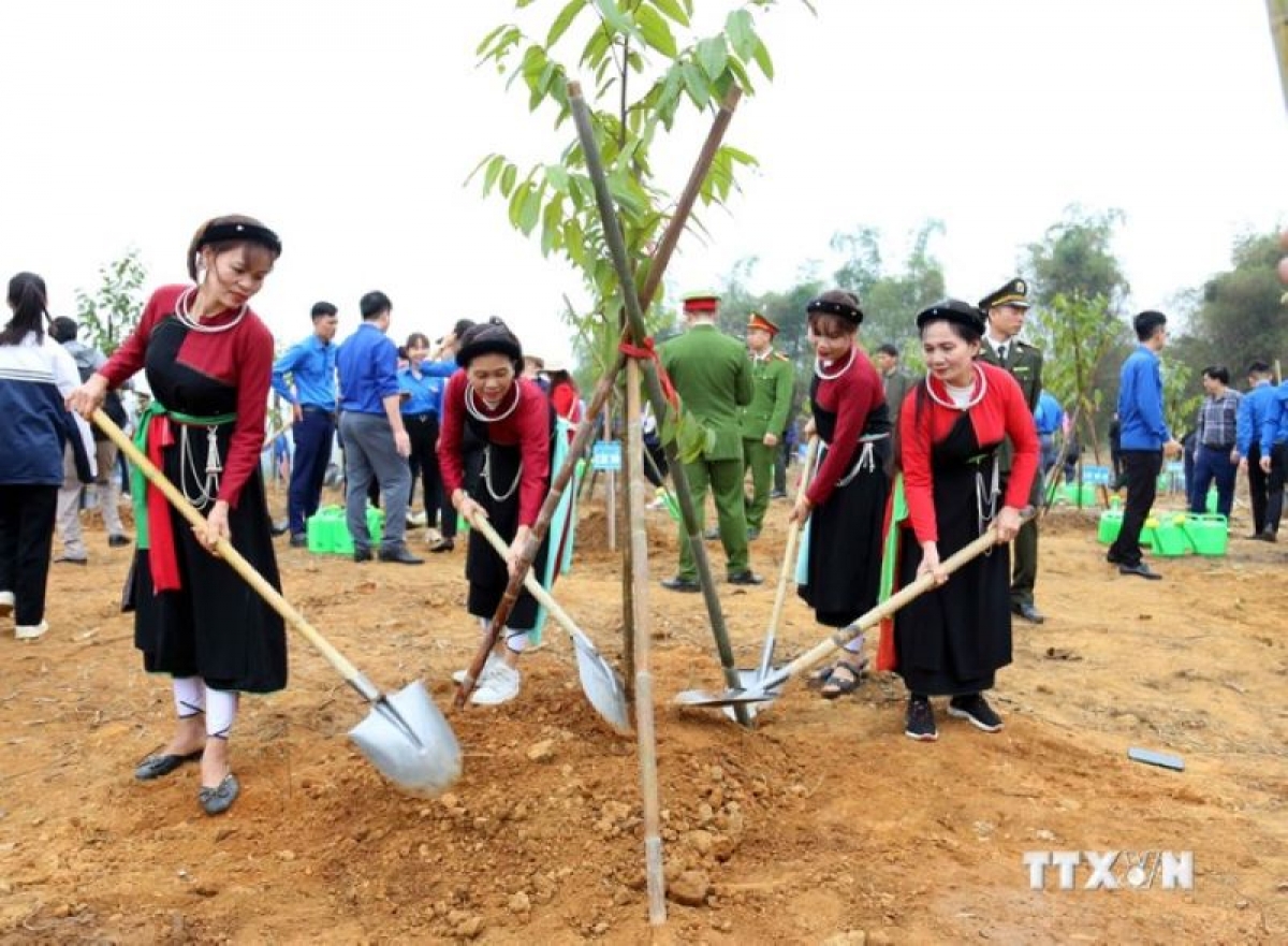 Người dân tỉnh Tuyên Quang hưởng ứng Đề án trồng một tỷ cây xanh. Ảnh: Quang Cường – TTXVN