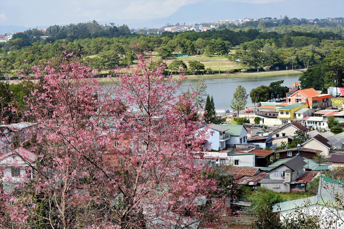 Tây Nguyên lac bhum taneh hu prein khang biak praong piah cakrok dom janih du lịch sinh thái, padeih padei