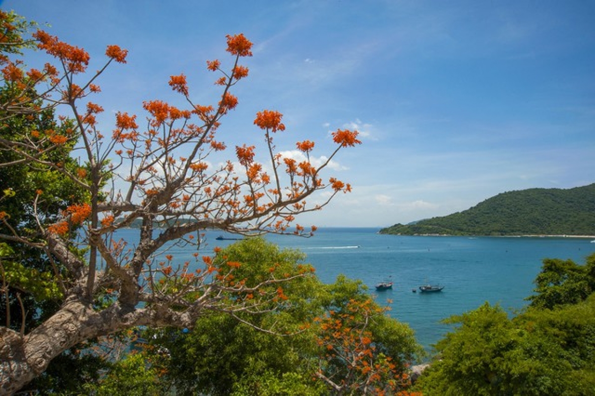 Festival “Cù Lao Chàm – Bilan Ngô đồng bhong”