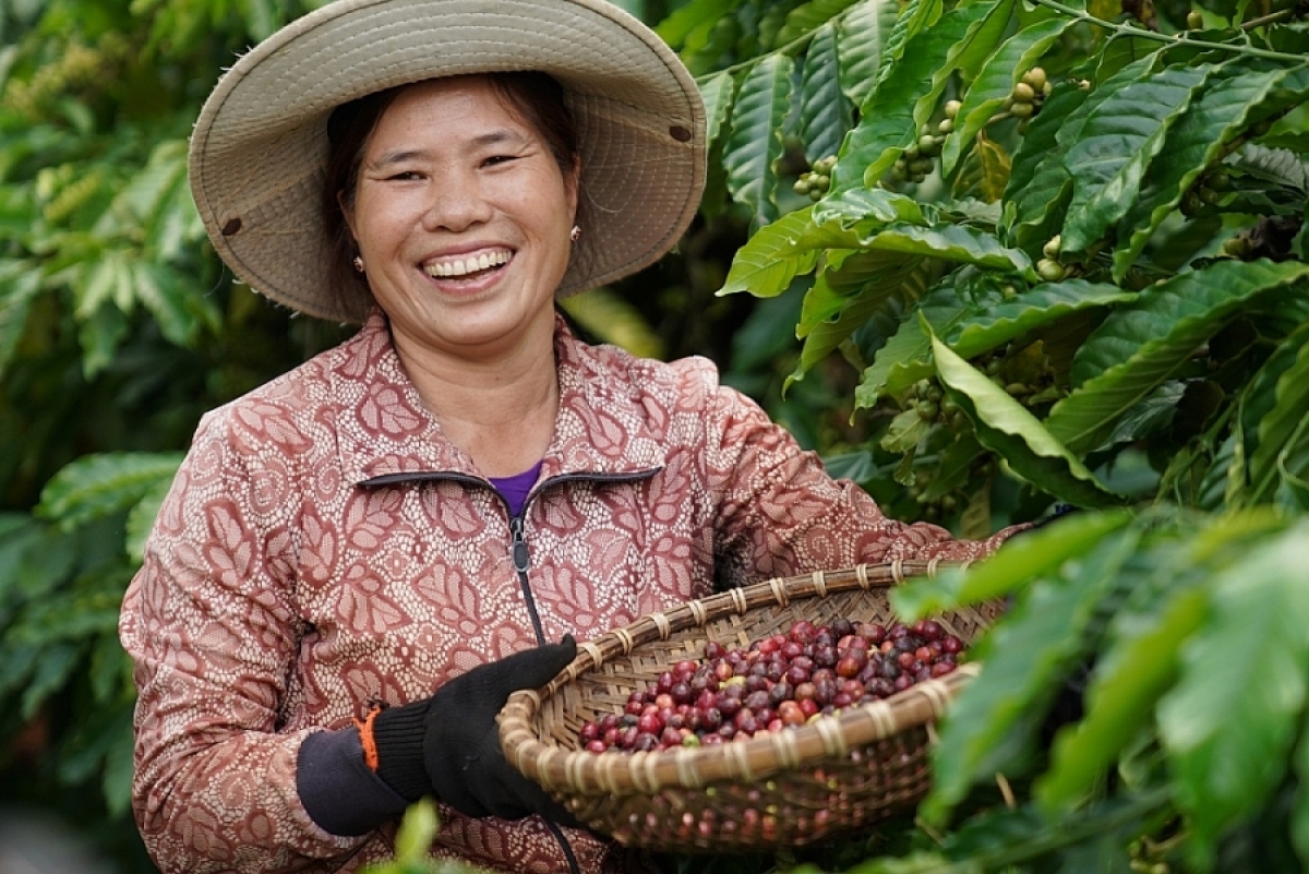 Akŏ pơdong bruă ngă hrŏm tong ten pla pơjing, ming pơkra djru pơđĭ tui rơnoh kơphê sĭ mơdrô