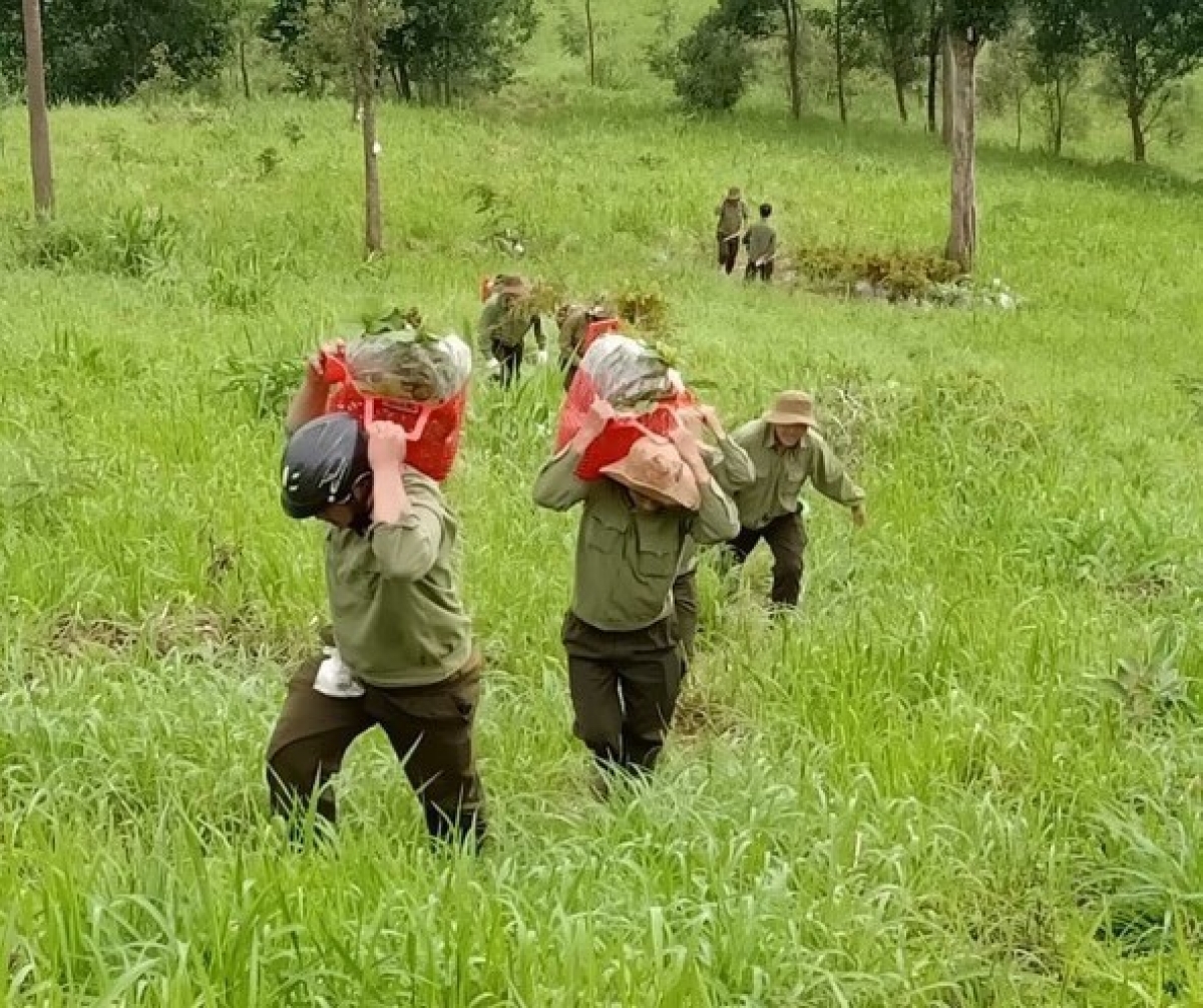 Mâu ngế pơkuâ kong a Dak Lak tơkŭm pêt kong drêng troh rơnó mêi