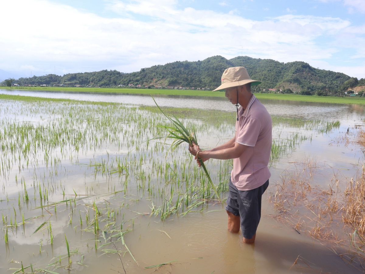 Kuăn pơlê tơring Lak khéa ngăn báu tro têa lân lu