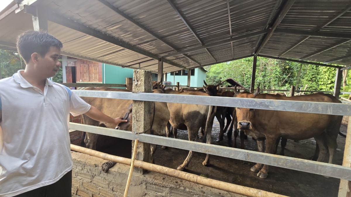 Mpồl kơnrồ bơh hìu bơnhă Ksor Phiếu dê