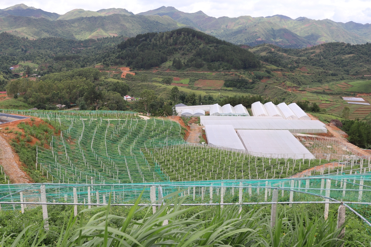 Mơngiơk drêh a kong ngo Si Pa Phìn