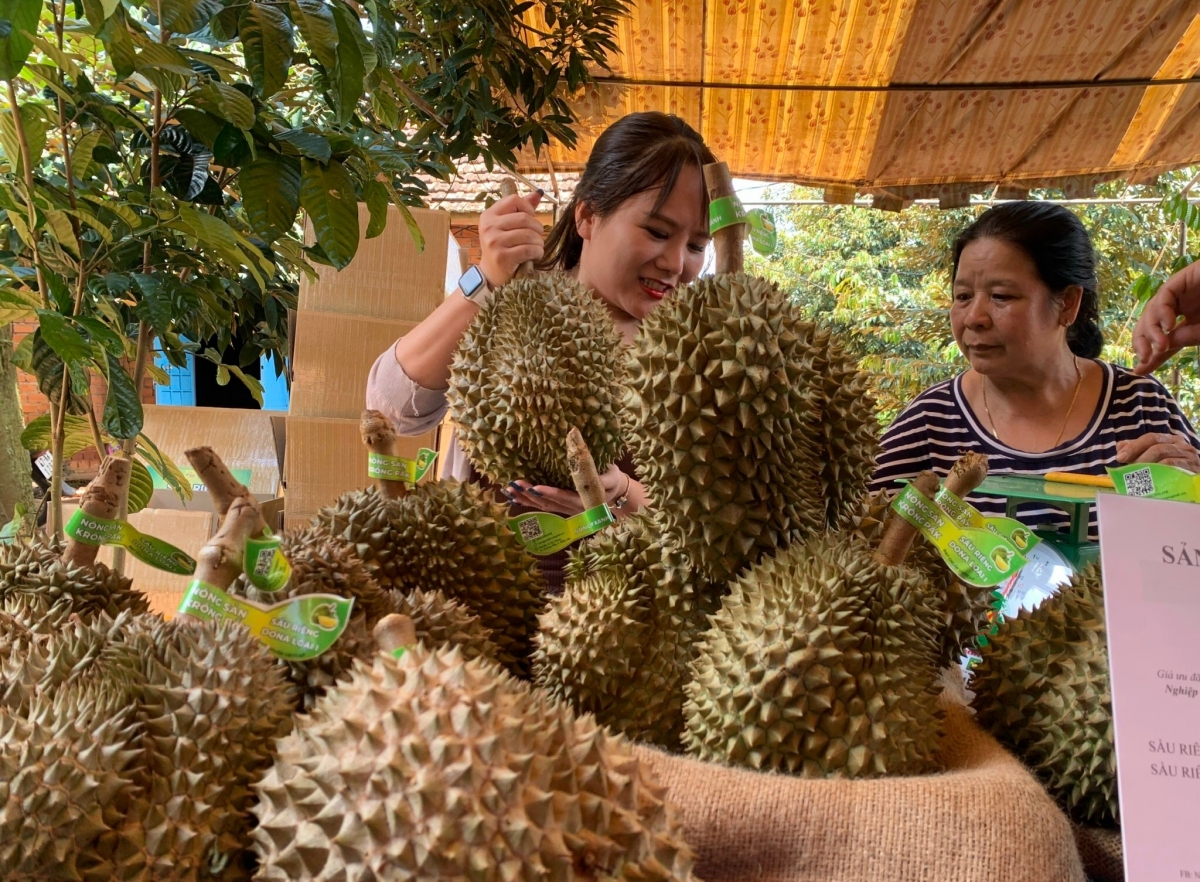 Tơdroăng ‘no liăn bro troăng prôk a Tây Nguyên nôkố xuân ối iâ, mâu kế tơmeăm pêi lo ing chiâk deăng, plâi kâ pá vâ châ tê tơdjâk troh yă tê