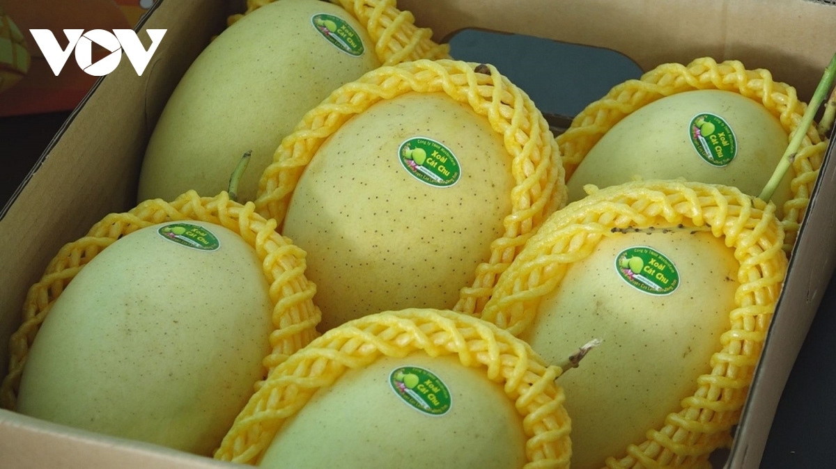 Tukvak tapa, bruk pala drak, ngak pandap saong pablei kaya nong di ini daok dang anak cuang kandah saong mbuan lagaih piah salih karei