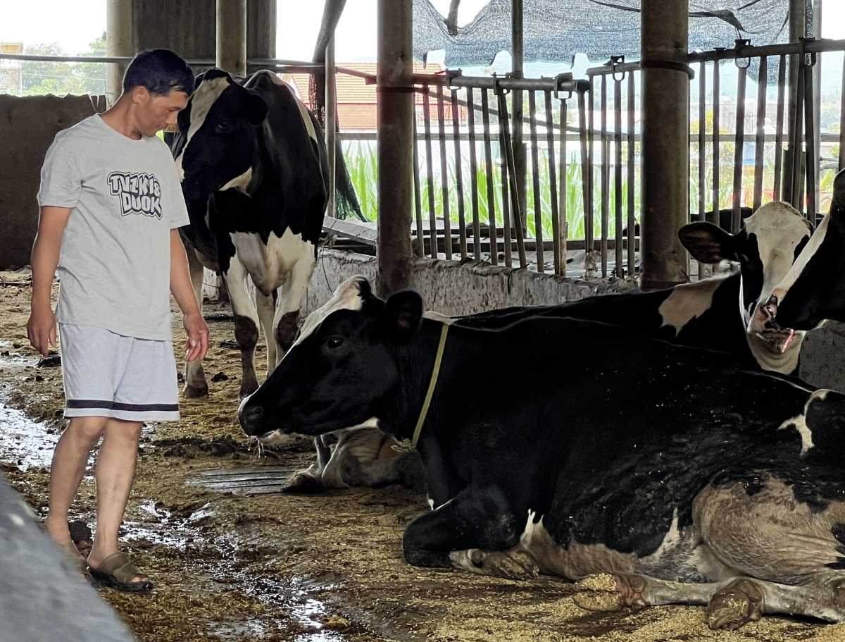 Tung kơxô̆ mâu ro ki hiăng prêi lĕm, hên ro hiăng vêh tro pơreăng châi klêa nếo ƀă lôi rêi nhâ