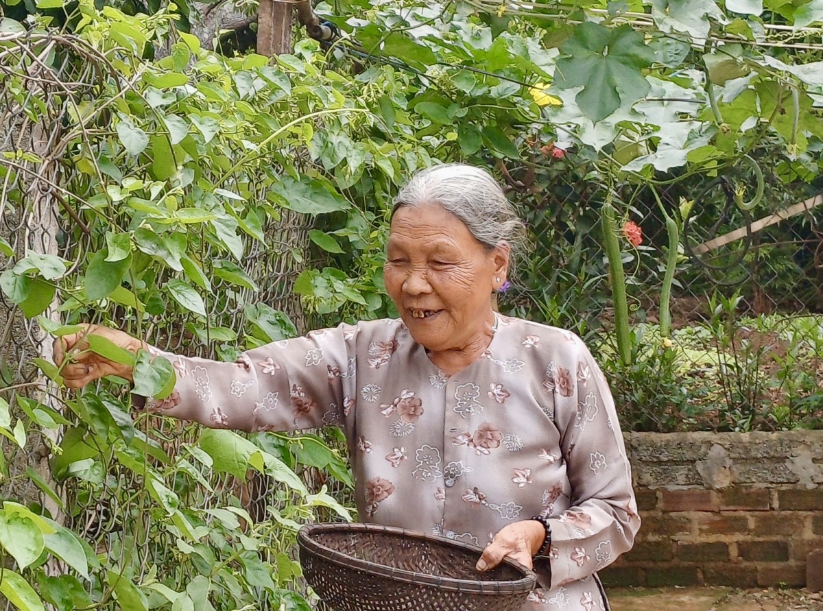 Bà Trần Thị Thoa vui khoẻ chăm sóc vườn rau làm gương cho con cháu