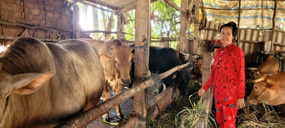 Mơngế păn ro a tơring Ba Tri dế trâm xơpá xua yă ro chu rơpâ , ôh tá tơniăn