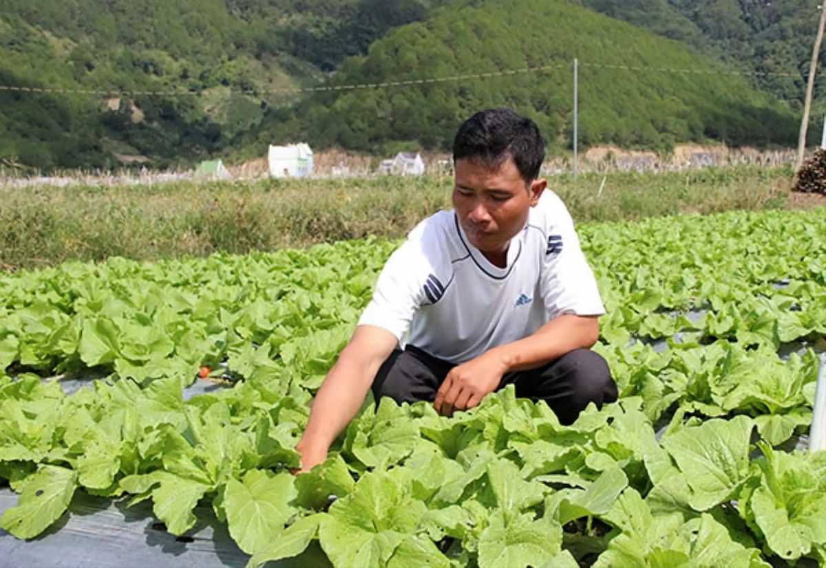 Đảng viên bi Ya Dũng gam sền gàr sươn biăp he dê