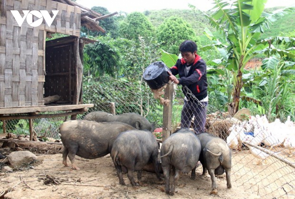 Băn a'ọc pa dưr tr'mung cóh k'coong ch'ngai