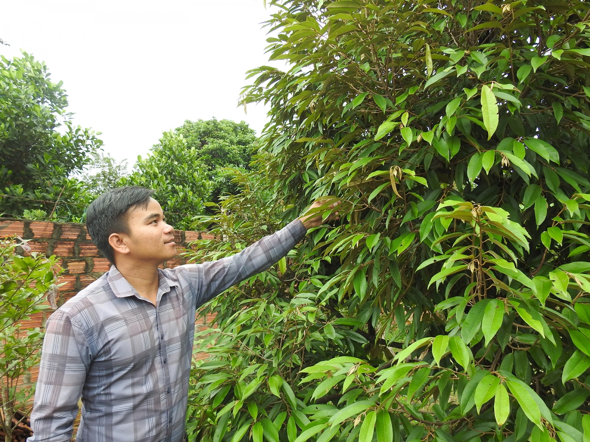 Ngoh A Nguyên, Kăn phŏ hnê ngăn Đoân cheăm Đăk Mar, Thôn trương Đăk Mit, pơkuâ Kâu lak ƀô̆ Droh rơtăm ki tiô khôp Pâ Xeăng  mơnhông cheăng kâ ƀă tơdroăng ‘mâi pro kơdrum pêt loăng plâi.