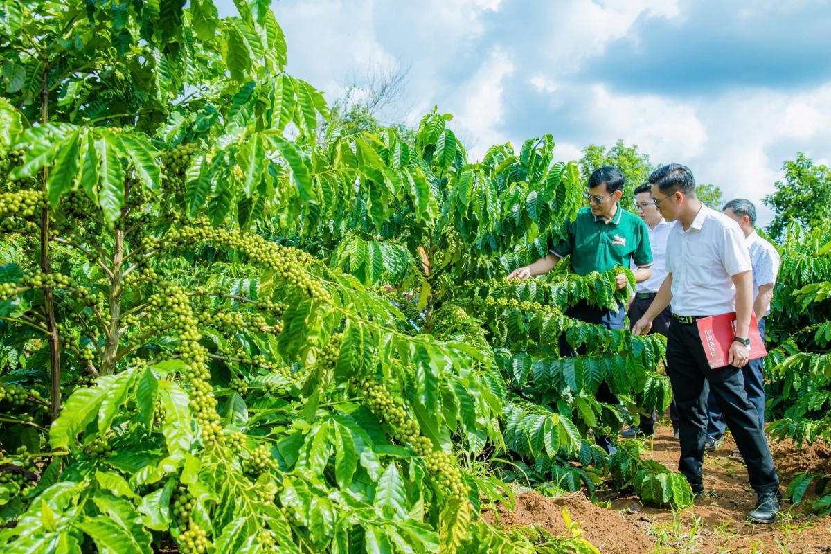 Pôa Nguyễn Hữu Thọ - Kăn pơkuâ ngăn Hô̆i đong Kuan trĭ (ếo drêh) lăm ngăn dêi kơdrum loăng kơphế ki nếo vêh pêt tơmó ai 30 khế