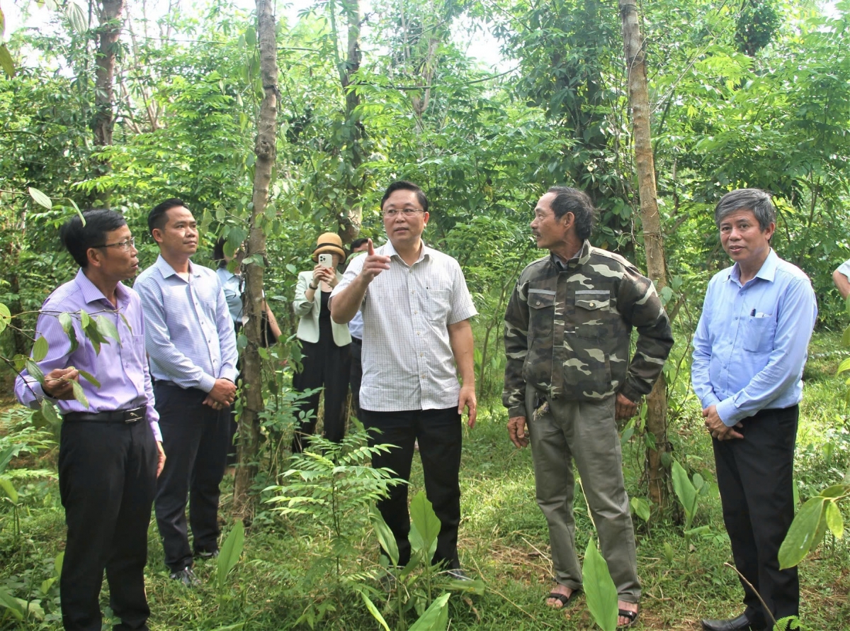 Ông Lê Trí Thanh, Chủ tịch UBMTTQVN tỉnh Quảng Nam trong chuyến đi giám sát ở cơ sở