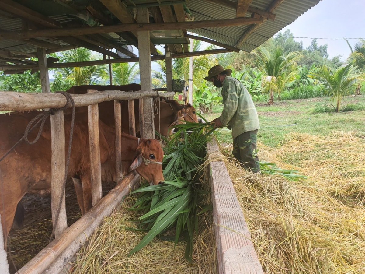 Cau jơi bơtiàn ờ gal cau tàm càr Gia Lai ngui priă dong kờl nàng ròng phan