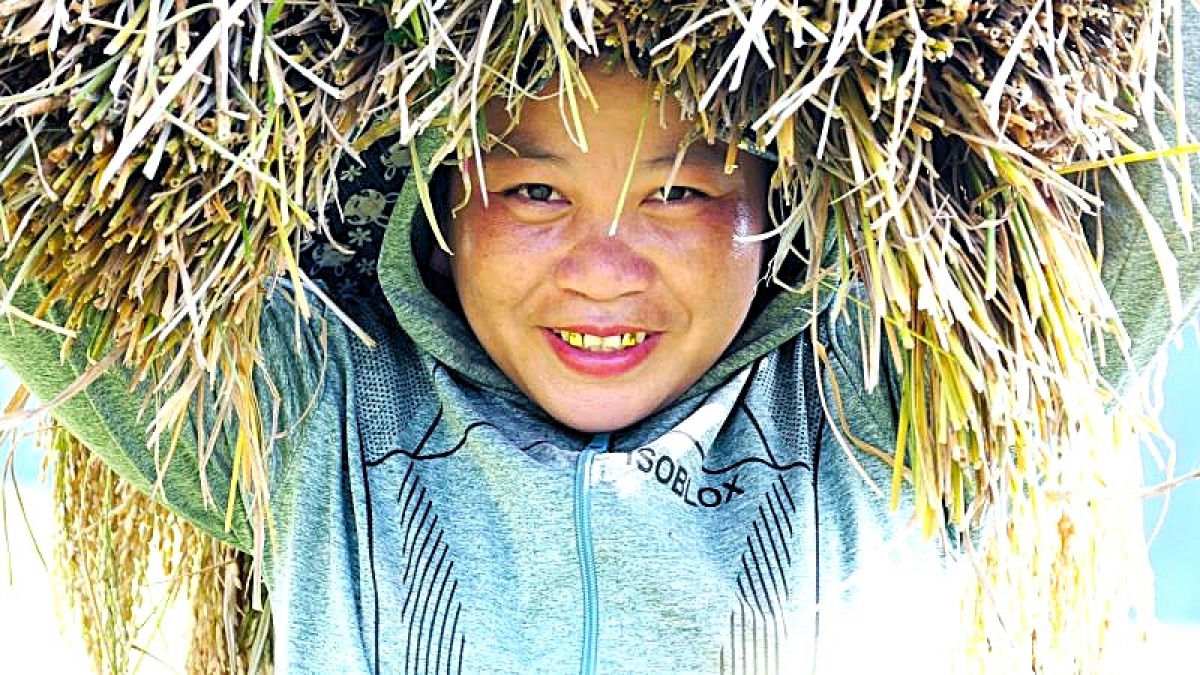 Niềm vui ngày mùa