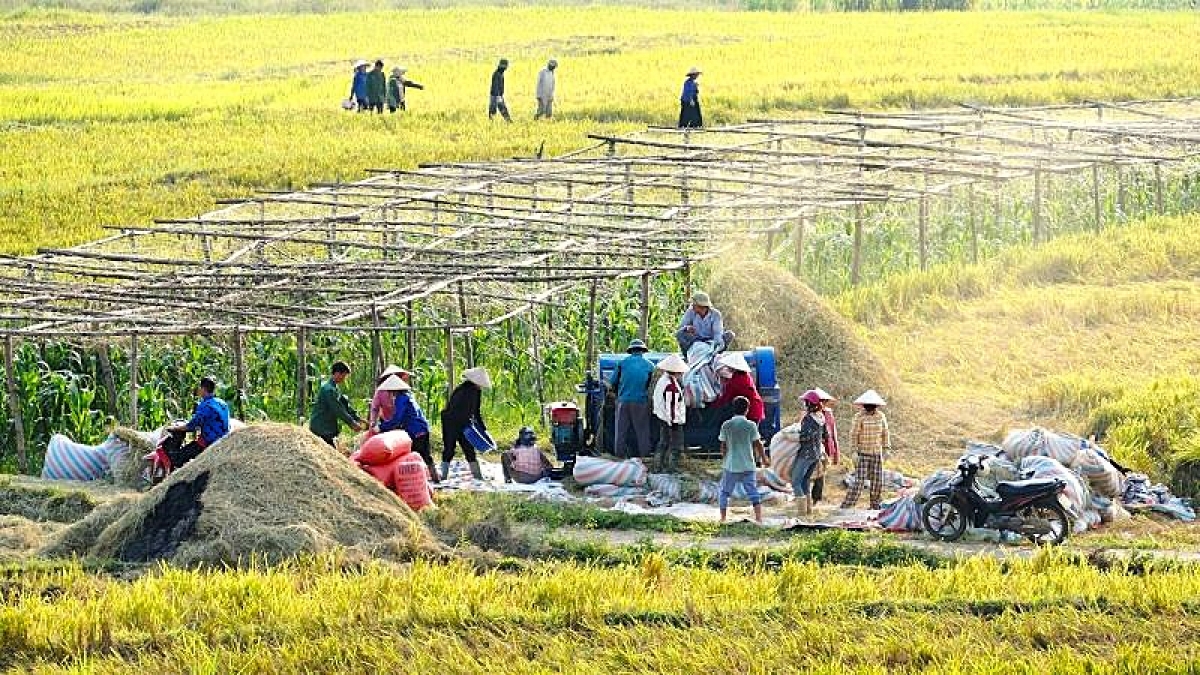 Cơ giới hóa đang giải phóng sức lao động cho nông dân vùng cao
