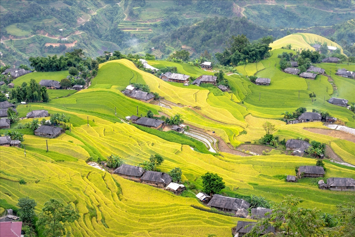 Hoàng Su Phì là một huyện biên giới thuộc tỉnh Hà Giang, nơi có những thửa ruộng bậc thang
và nhiều lễ hội dân tộc đặc sắc. (Ảnh baodantoc.vn)