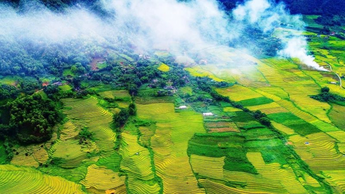 Cuối tháng 9, đầu tháng 10 hàng năm, những cánh đồng ở Lai Châu bắt đầu ngả màu vàng óng