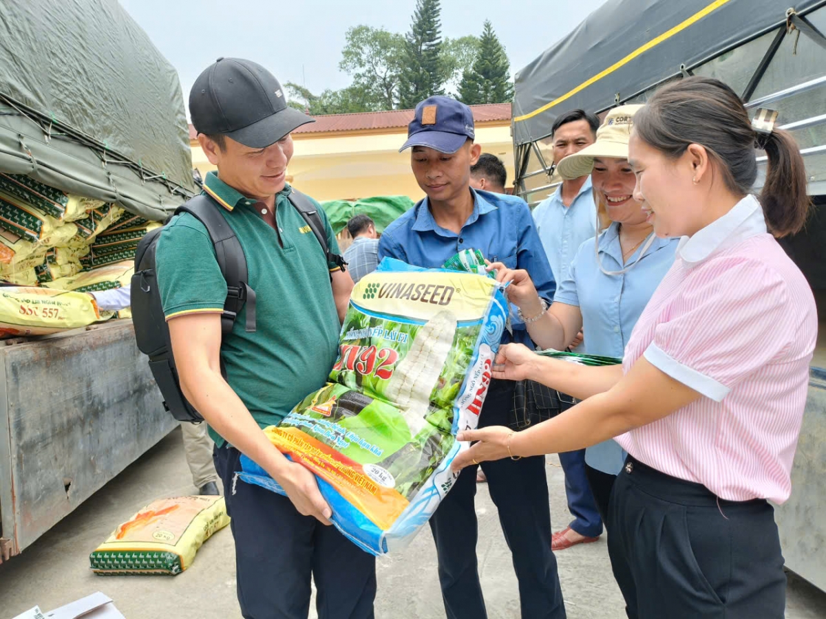 Hạt giống được chuyển đến bà con nông dân huyện Trấn Yên - địa phương thiệt hại rất lớn về nông nghiệp ở Yên Bái